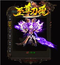 西毒天龙八部私服